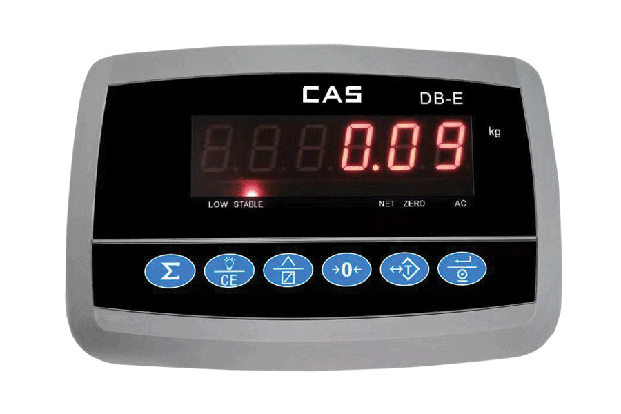 CAS DBE INDICATOR